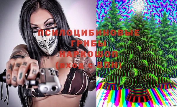 стафф Верхний Тагил