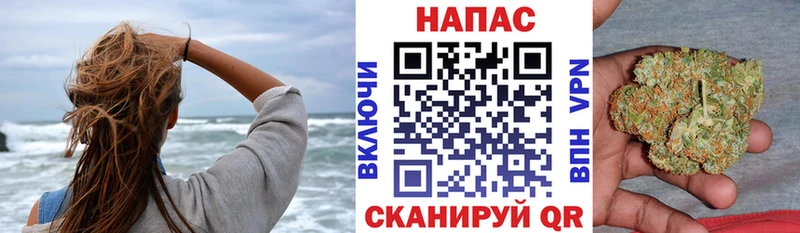 Купить где  Кропоткин  Шишки марихуана сатива 